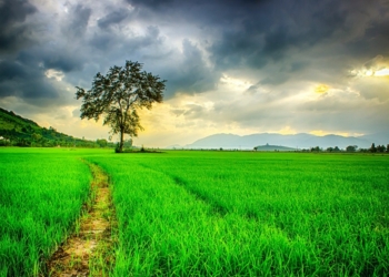 Nelliyampathi – An Offbeat Gem