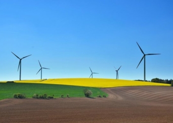 Tips to promote a Green business for sustainable development and how green tourism will be key for Kerala