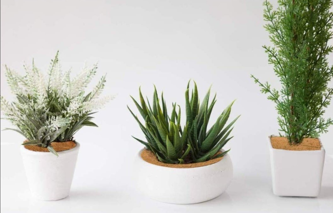 10 Simple Gardening Hacks to Transform Your Outdoor Space