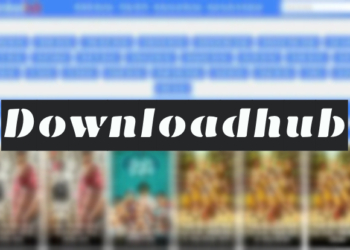 Downloadhub