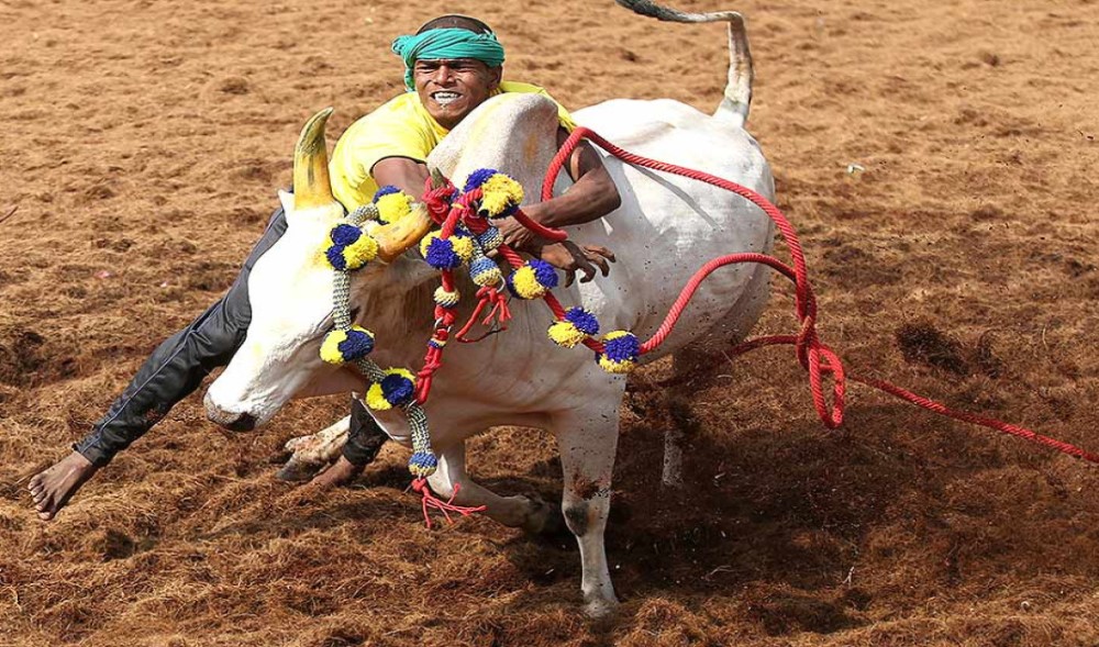 Telugu Movies in Netflix