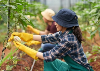 agricultural workforce