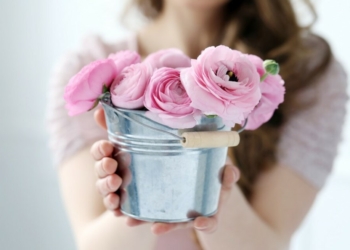 Preserve a Rose