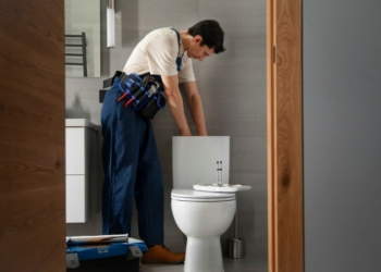 Toilet Clogs