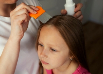 life cycle of a lice