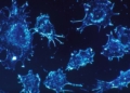 Oncology Sector