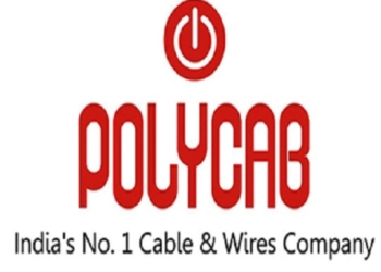 Polycab India stock market rise