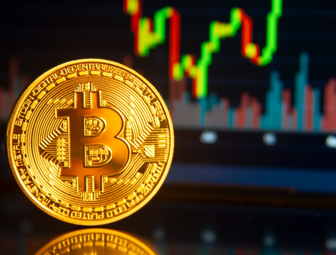 bitcoin and stock market rally april 2025