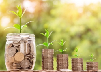 indian household savings 2024 economic report