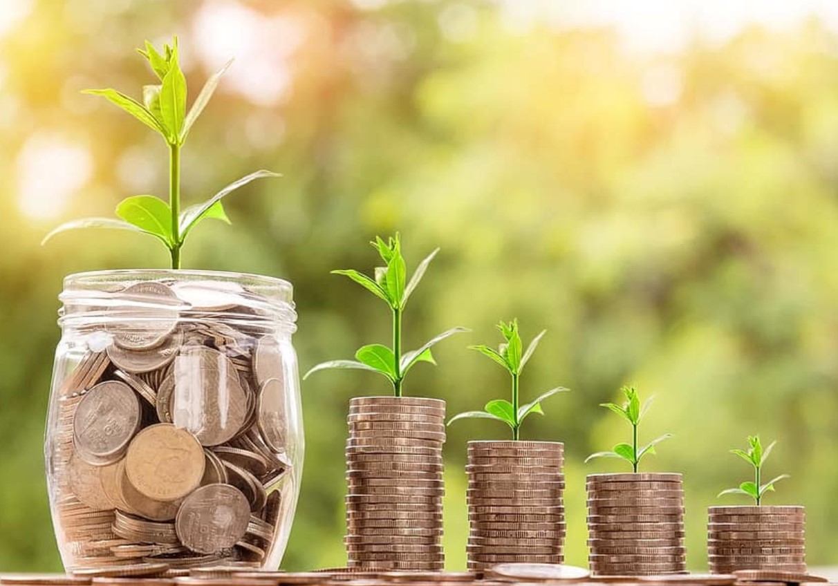 indian household savings 2024 economic report