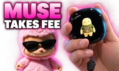 Meta Muse Charm takes transaction fee from banks
